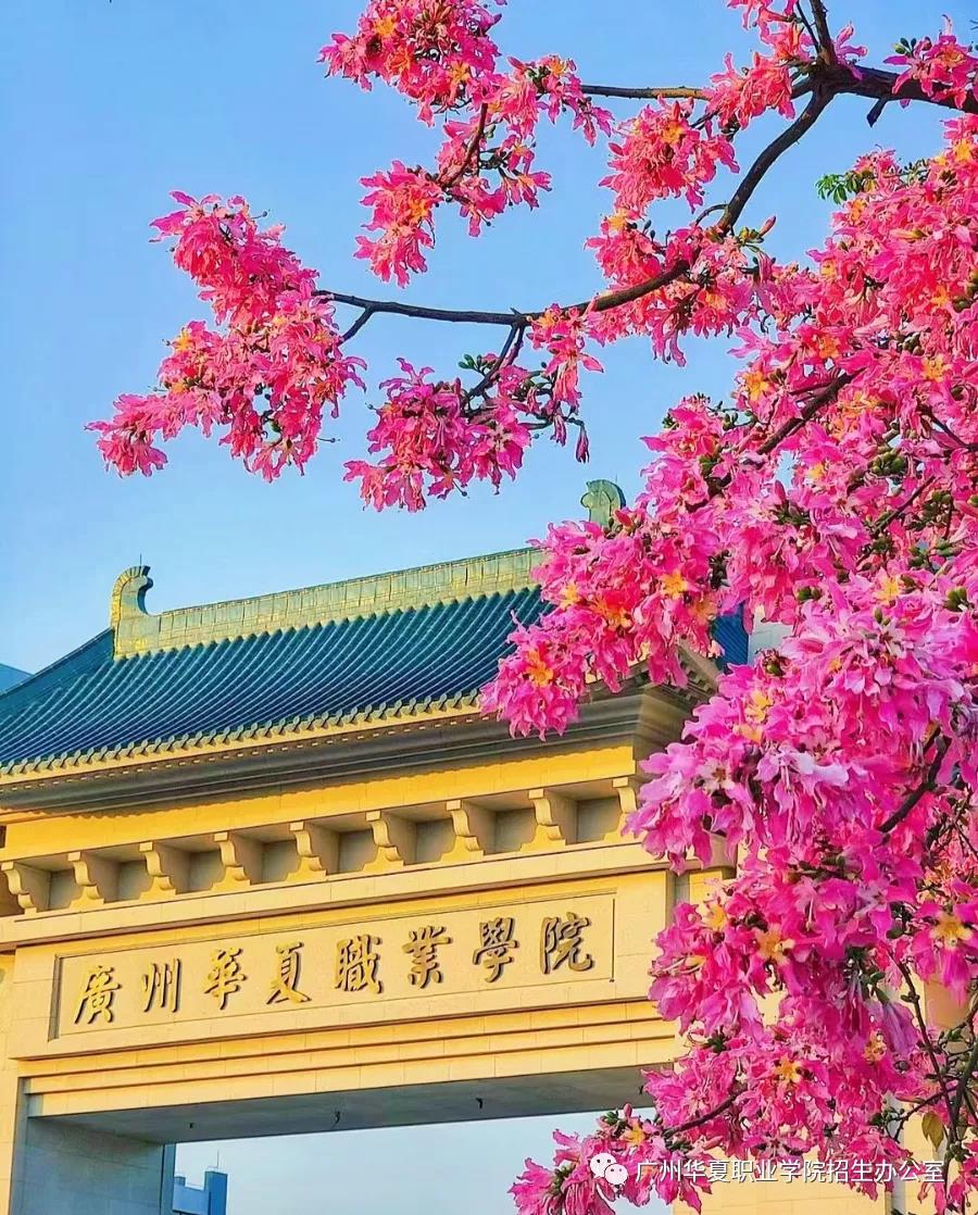 2021廣州華夏職業(yè)技術(shù)學院3+證書招生(圖1)