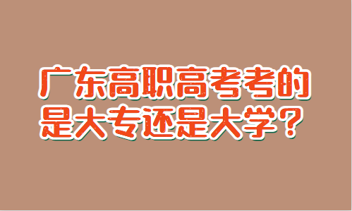 廣東高職高考考的是大專還是大學(xué)？(圖1)