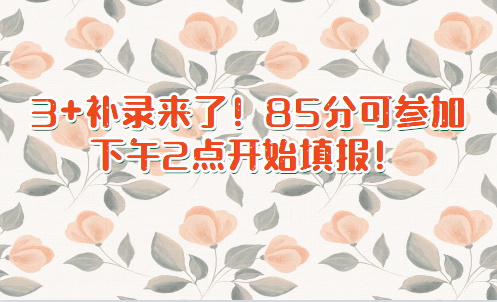 3+證書補(bǔ)錄來了！85分可參加，下午2點(diǎn)開始填報！(圖1)